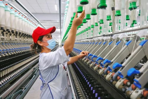 看博州如何 織 出新圖景 央廣網